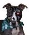 Evil_Attorney's Avatar